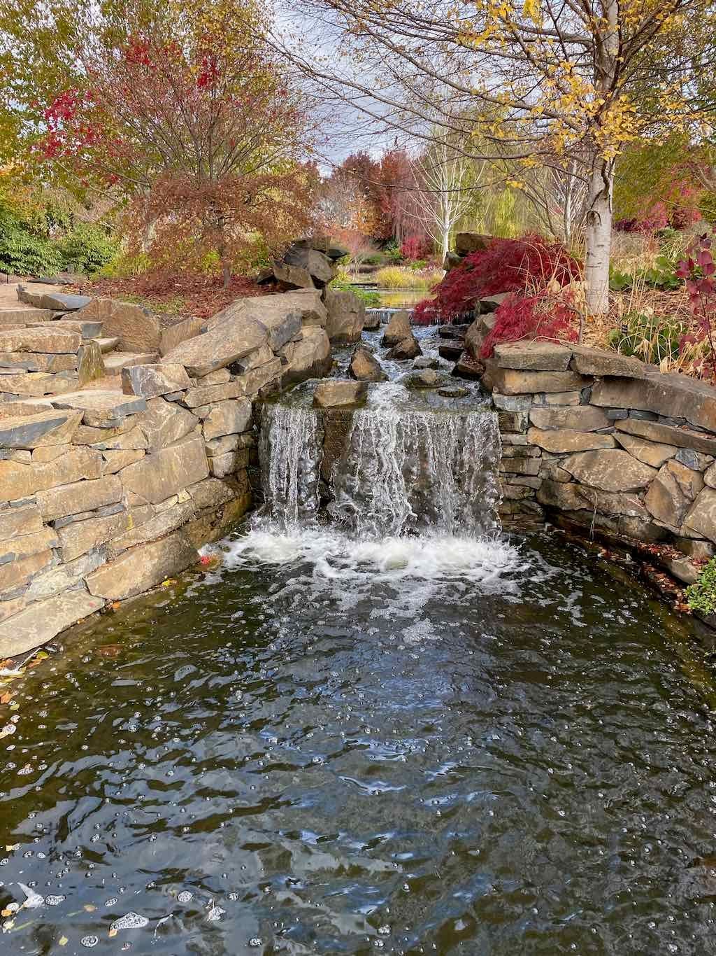 May 2023 Bathurst Mayfield Garden Tour Image -64605b25b26f9